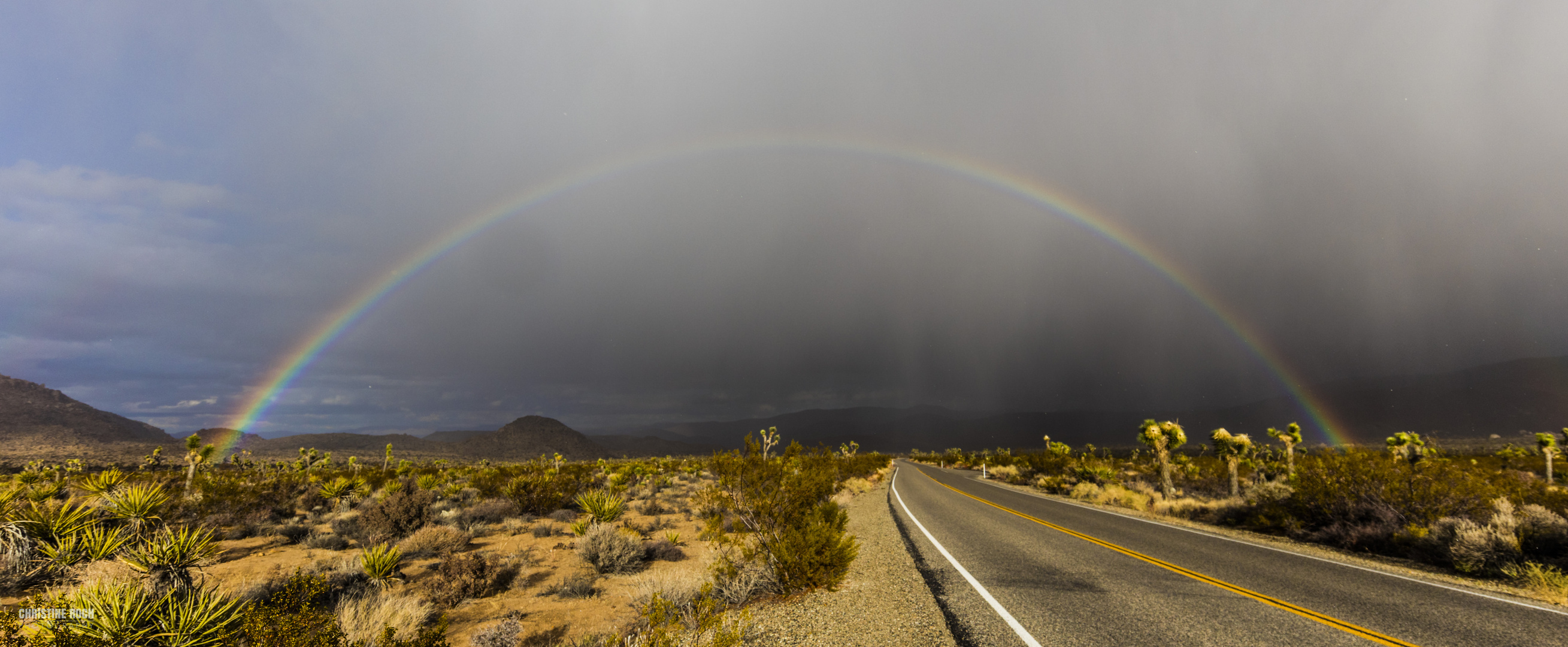 Rainbow over Joshua Tree