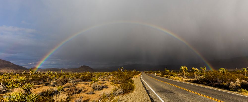 Rainbow over Joshua Tree