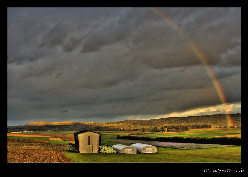 Rainbow over the field