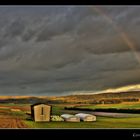 Rainbow over the field