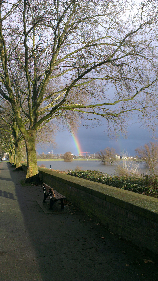Rainbow over the River