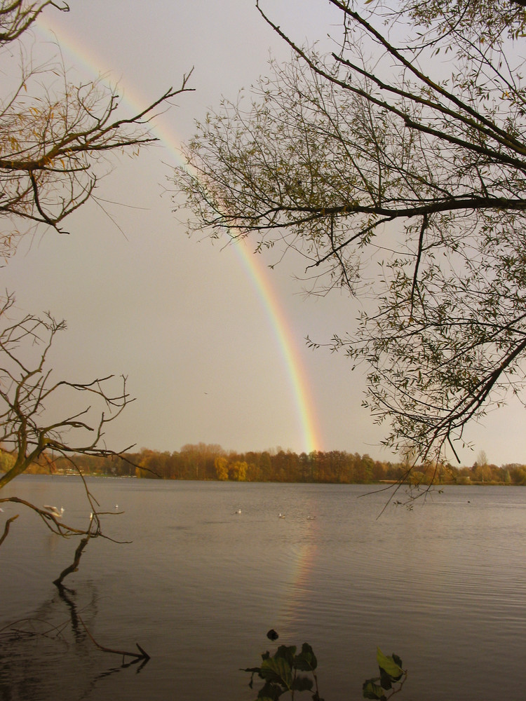 Rainbow over the sea