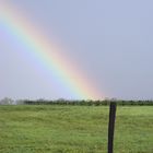 Rainbow over the vines