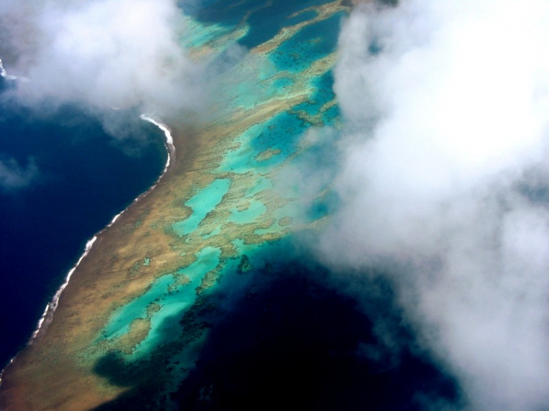 Rainbow Reef, Fiji