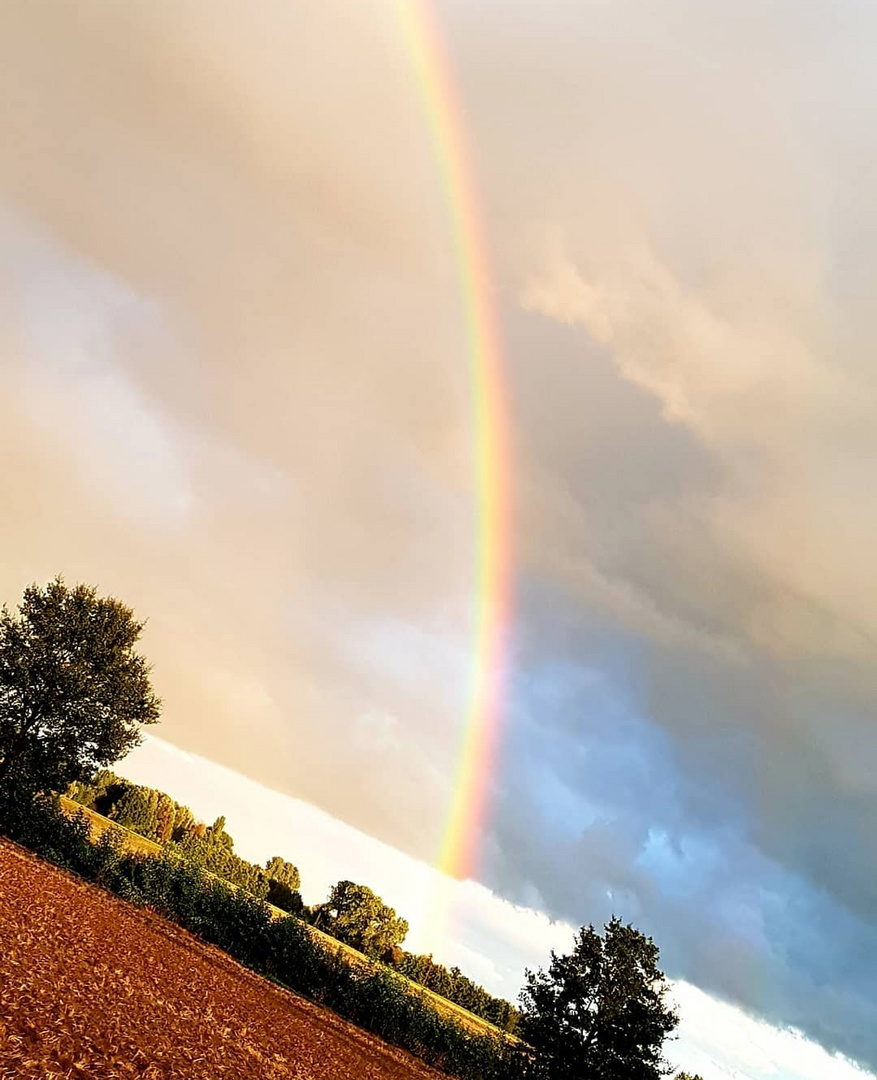 RAINBOW... SONNE & REGEN