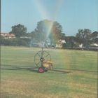 rainbow sprinkler, perth WA