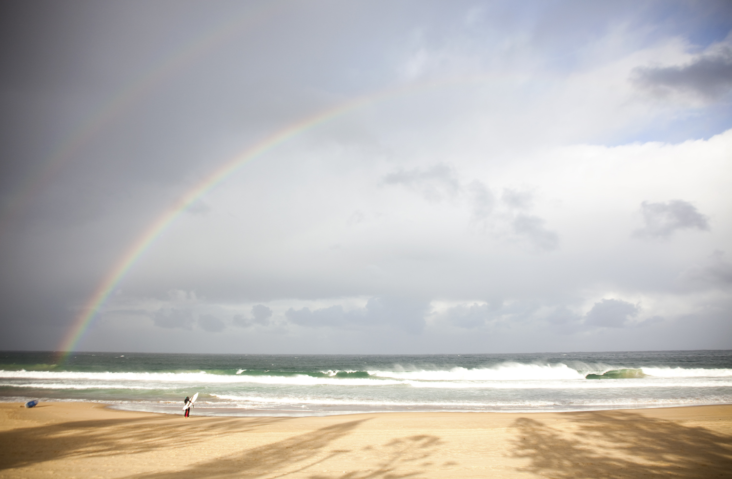 Rainbow Surfer/ Manly Beach