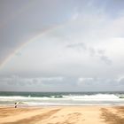 Rainbow Surfer/ Manly Beach