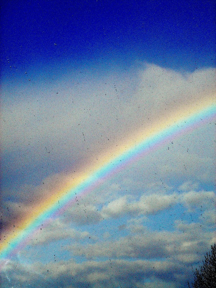 rainbow sweet rainbow