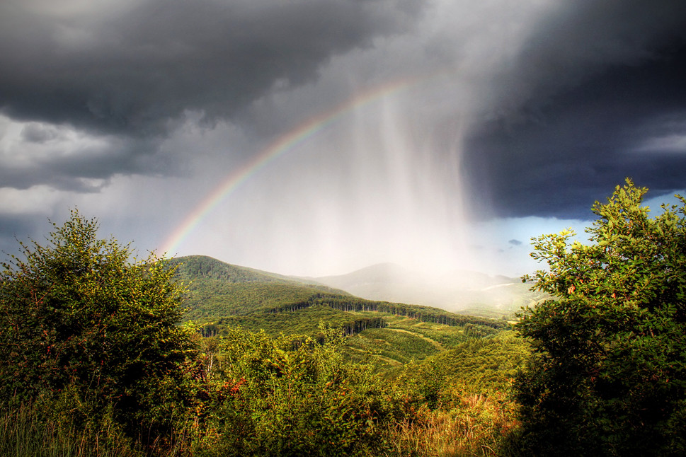 rainbow veil