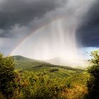 rainbow veil