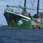 Rainbow Warrior (Greenpeace) in der Bucht von Pollensa
