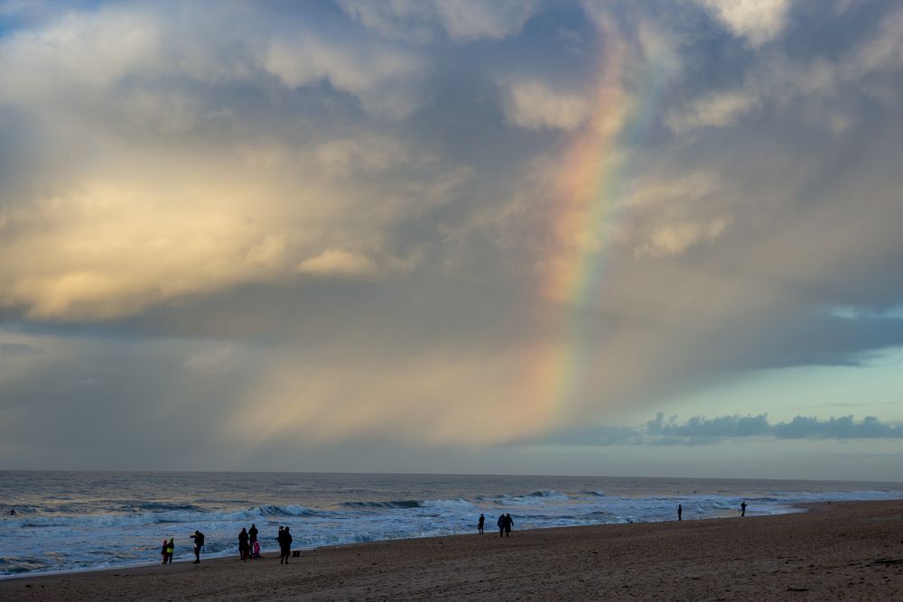 Rainbow Warriors