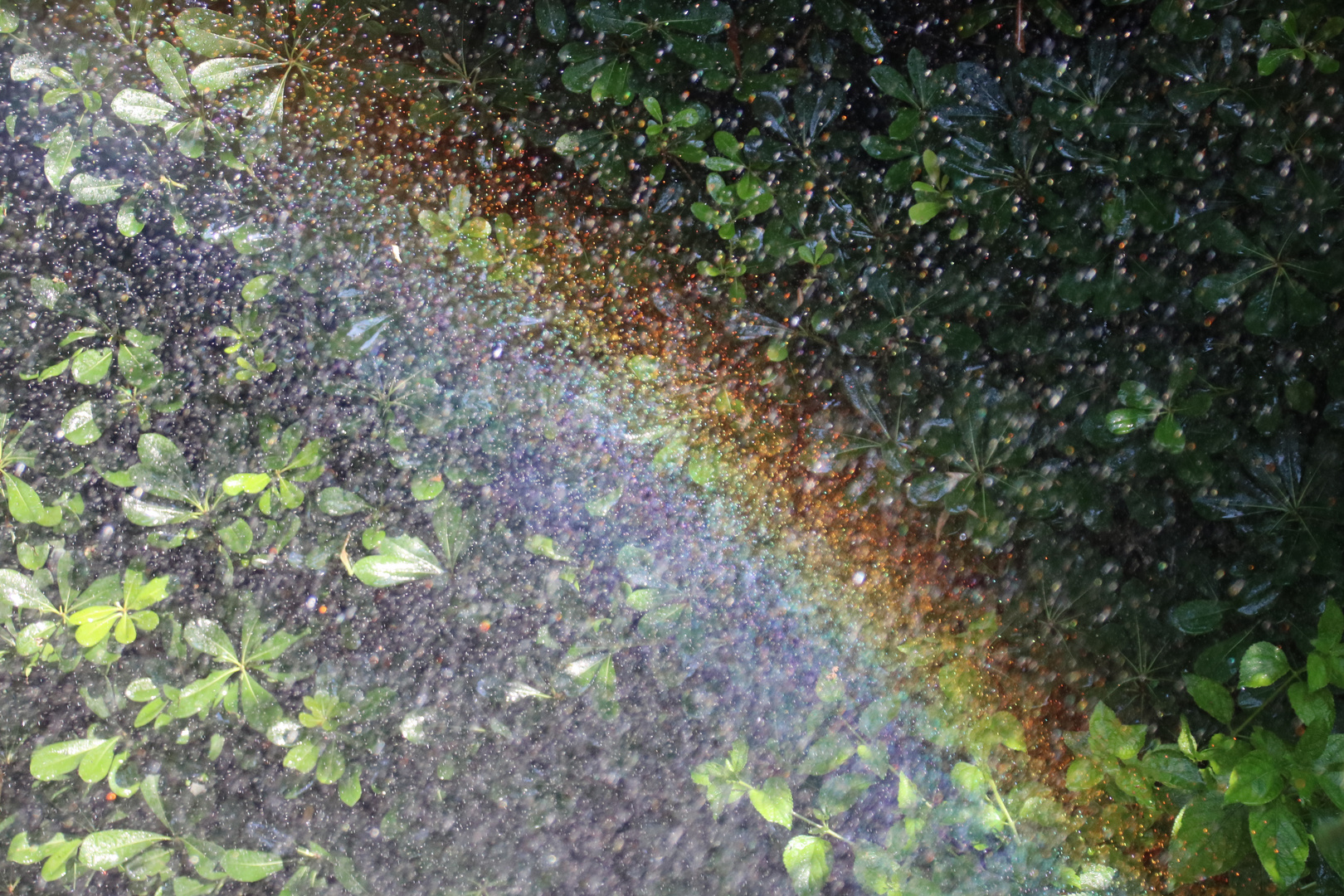 Rainbow & water