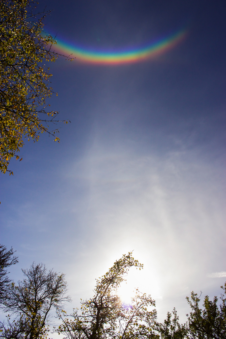 Rainbow with a difference