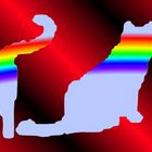 rainbowcats