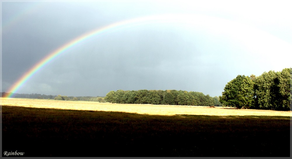 Rainbowcolor