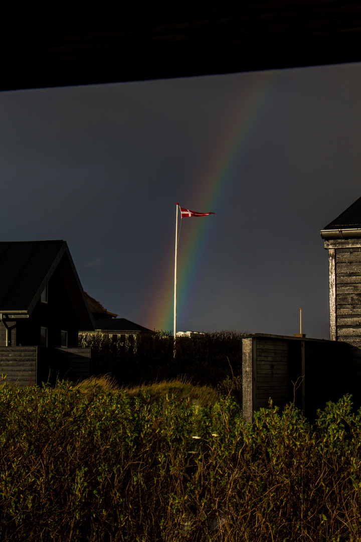 RainbowDanebrog 