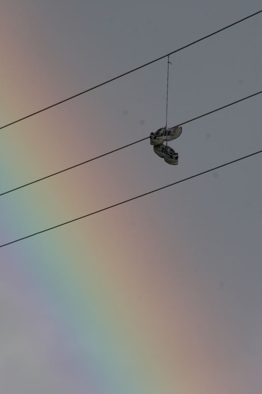 Rainbowshoes