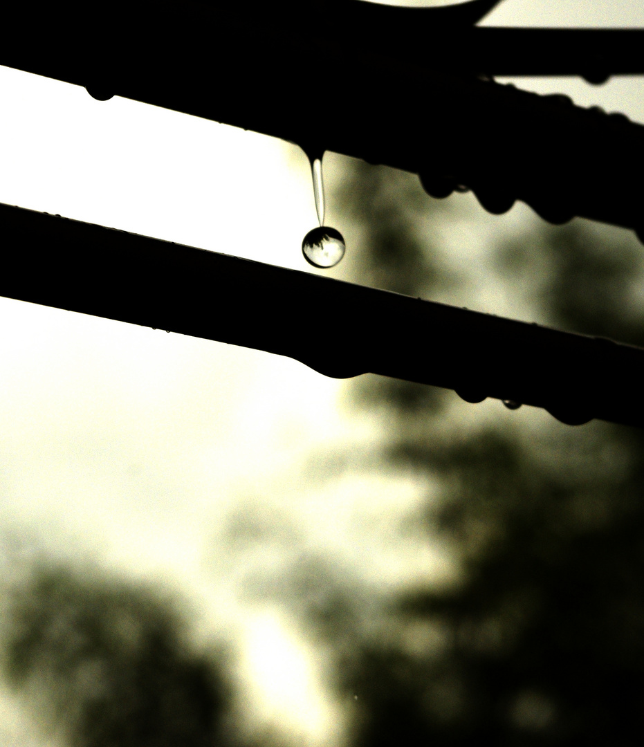 Raindrop