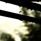 Raindrop