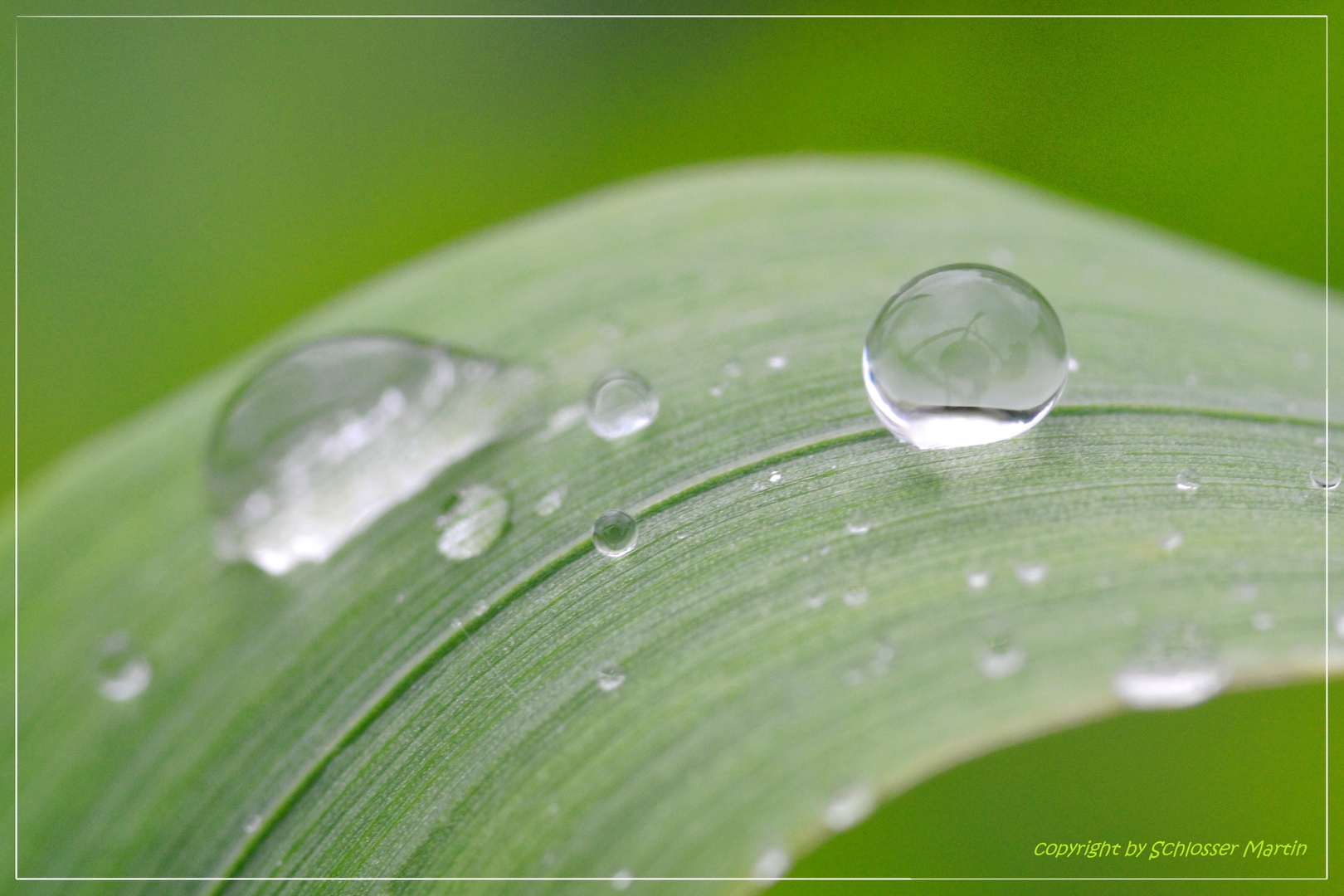 Raindrop