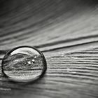 Raindrop