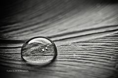 Raindrop