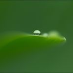 Raindrop