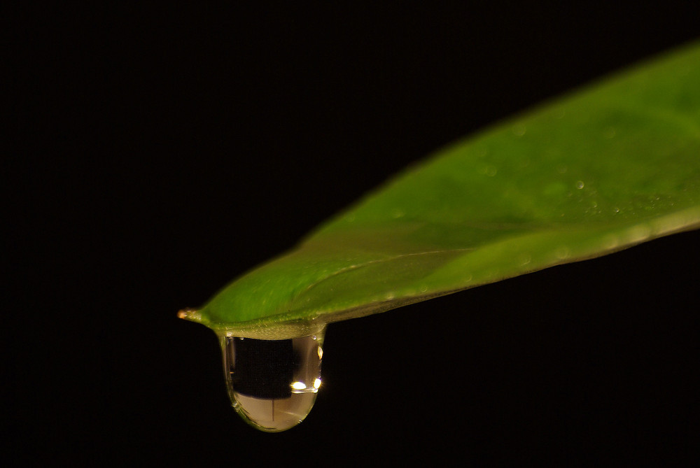 Raindrop