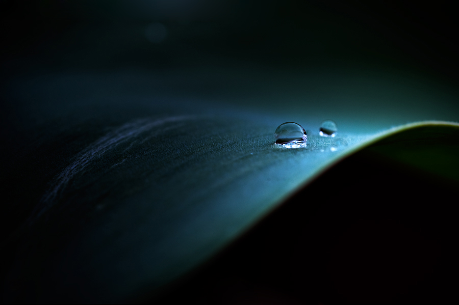 Raindrop