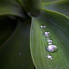 Raindrop