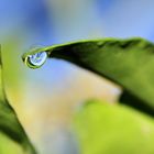 Raindrop