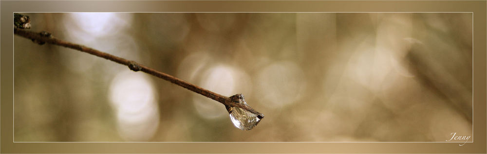 Raindrops *1*