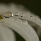 raindrops 2