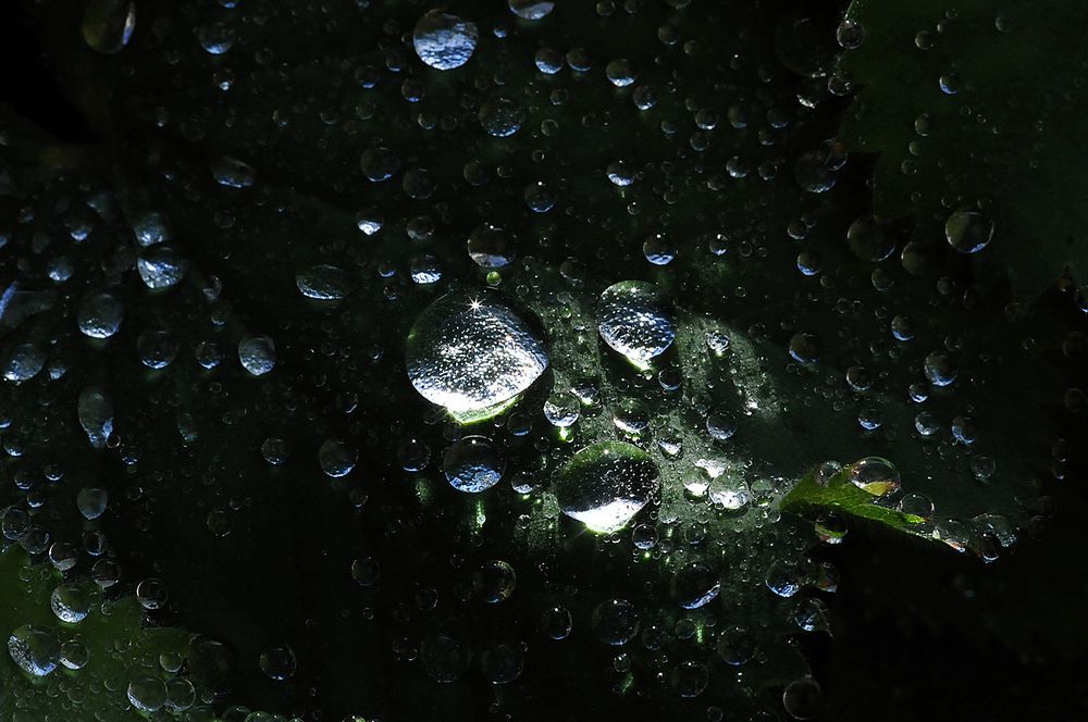 Raindrops...