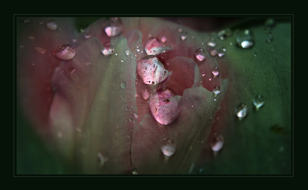 Raindrops ... (3)