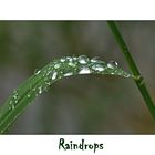 Raindrops