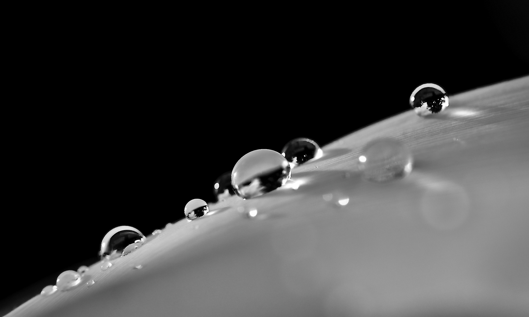 Raindrops