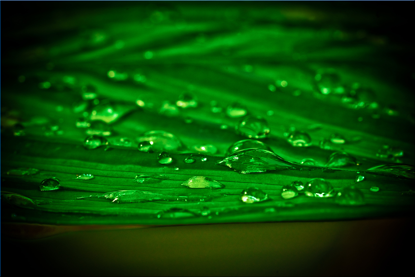 Raindrops?
