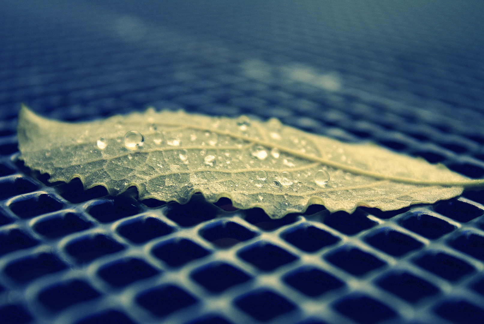 raindrops ||