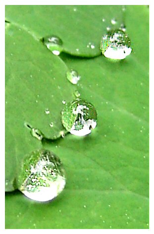 Raindrops