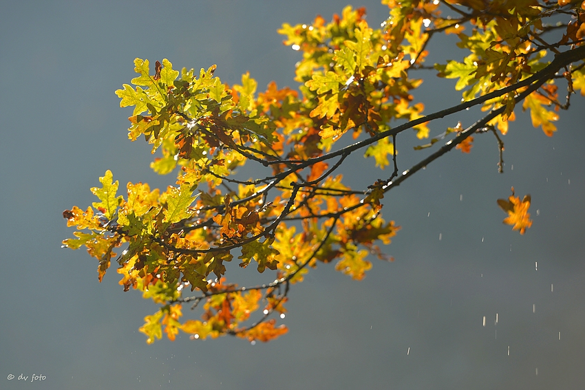 Raindrops are falling