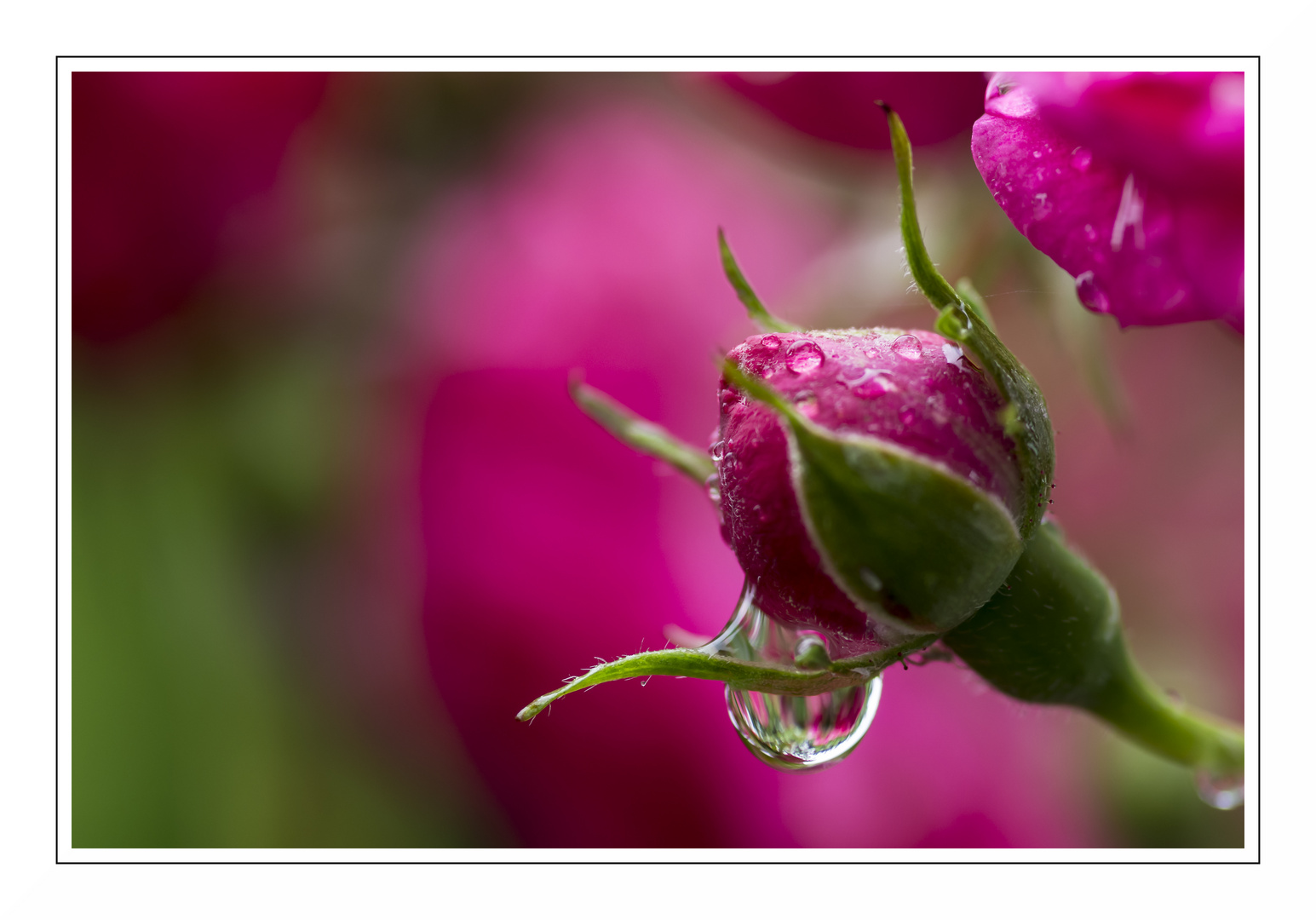 Raindrops are falling on my head