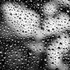 Raindrops