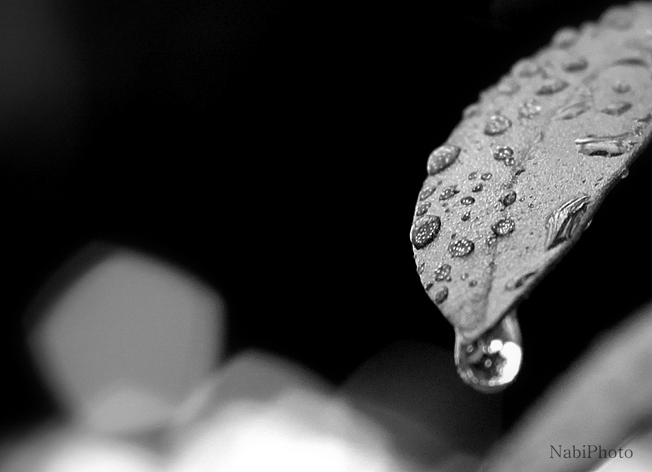 Raindrops