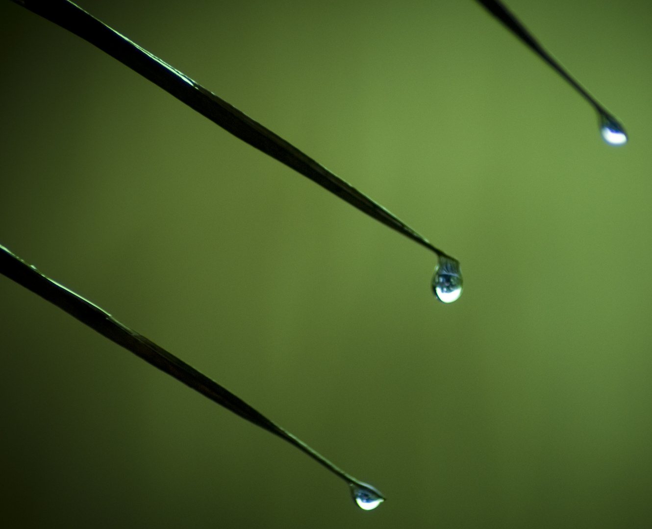 Raindrops