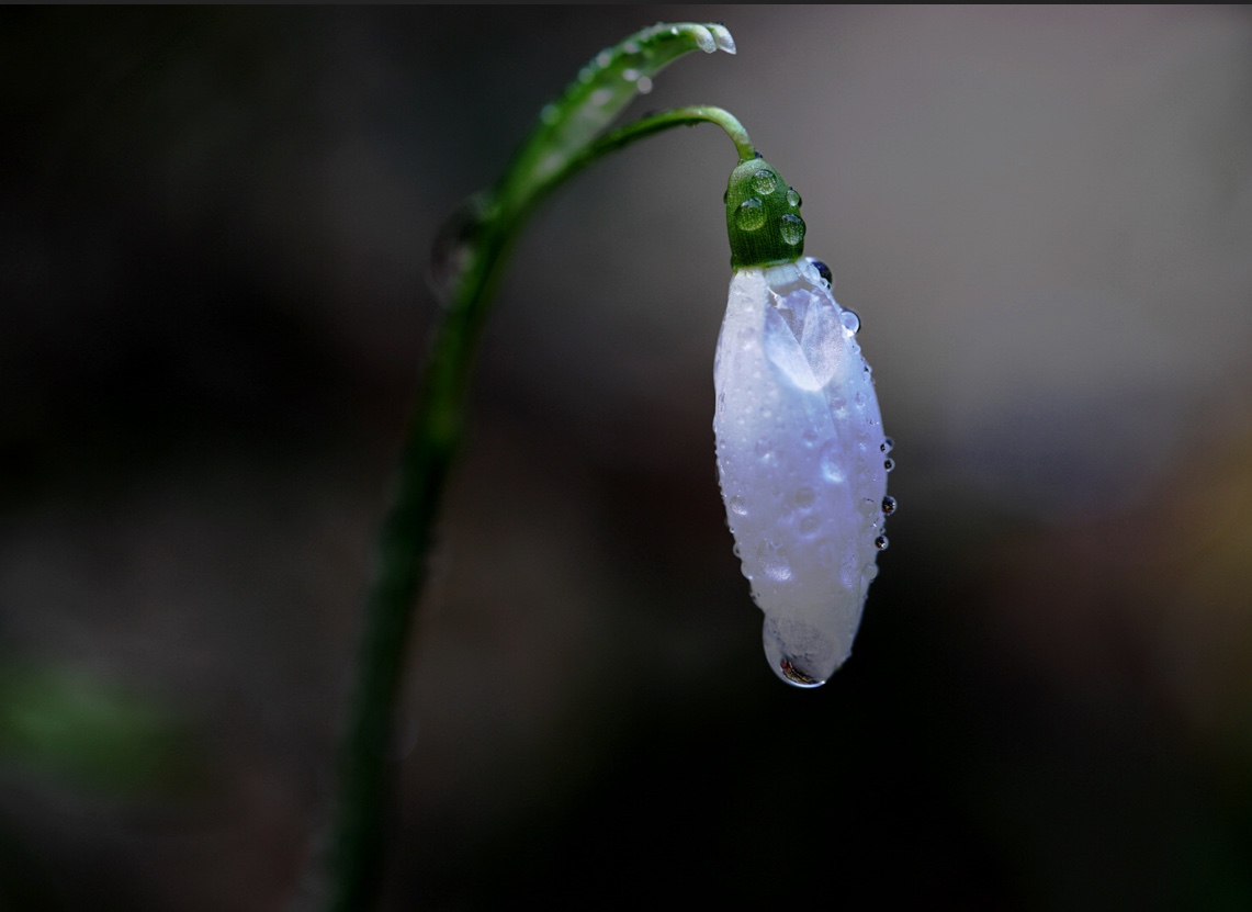 raindrops falling