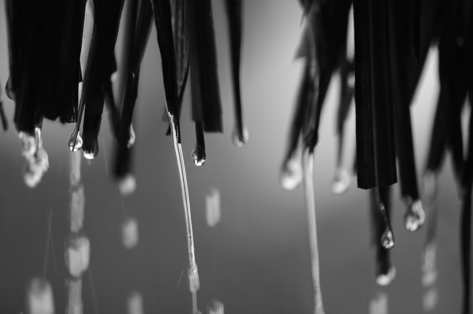 Raindrops