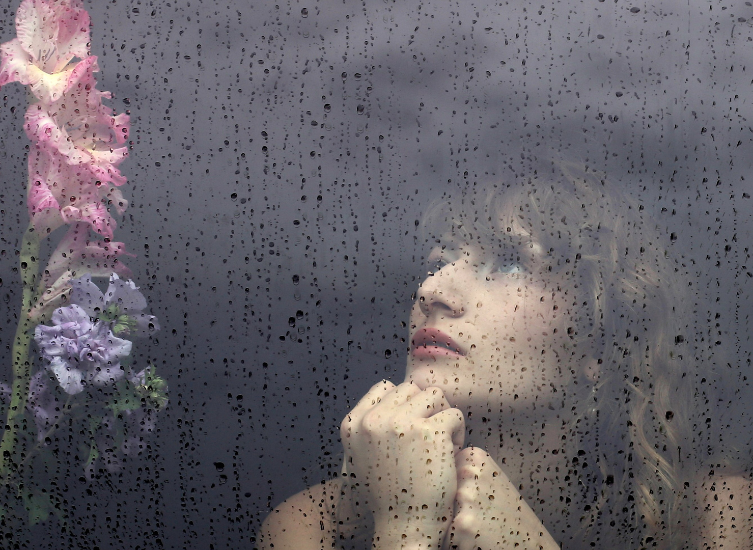 Raindrops & Flowers